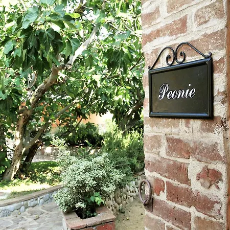 In Tuscany Near Trasimeno * Castiglione del Lago